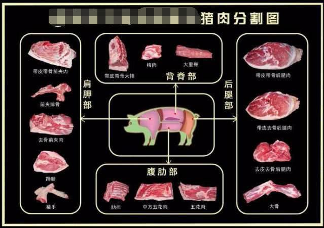 在頭箱蓋板之下發現了很多他的陪葬品