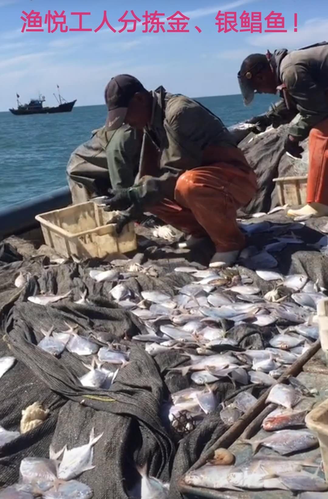 負責看守海山學校西邊的山林