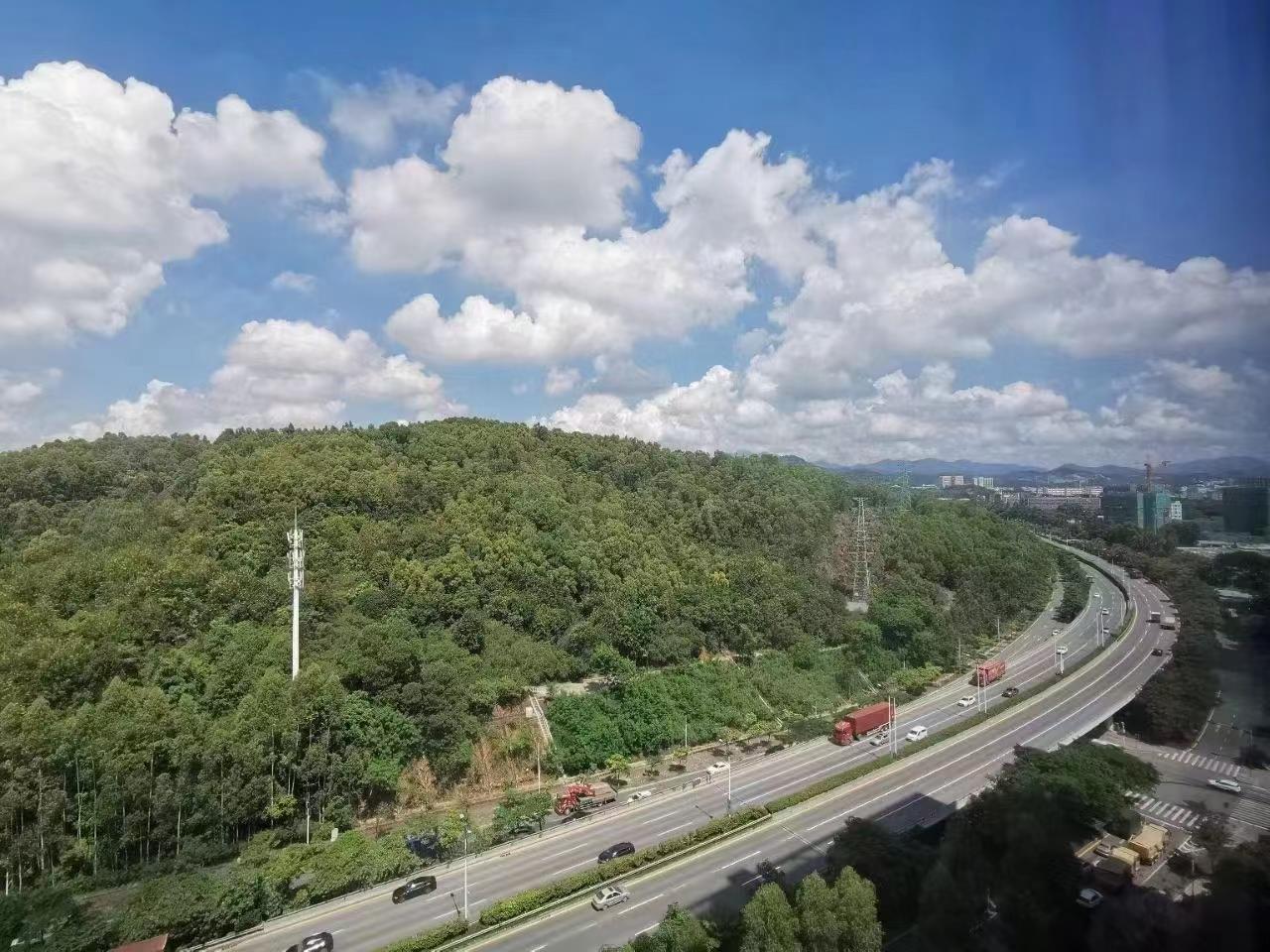 龍崗新生壹號